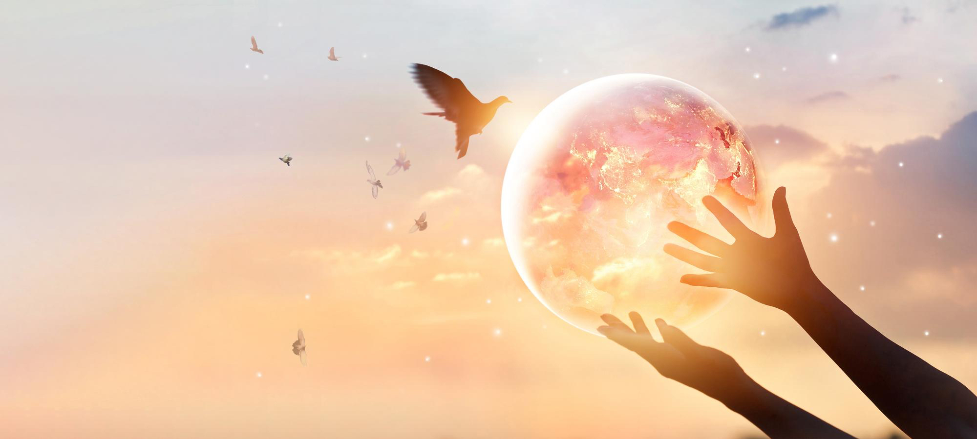 Neohumanist Education for Peace
