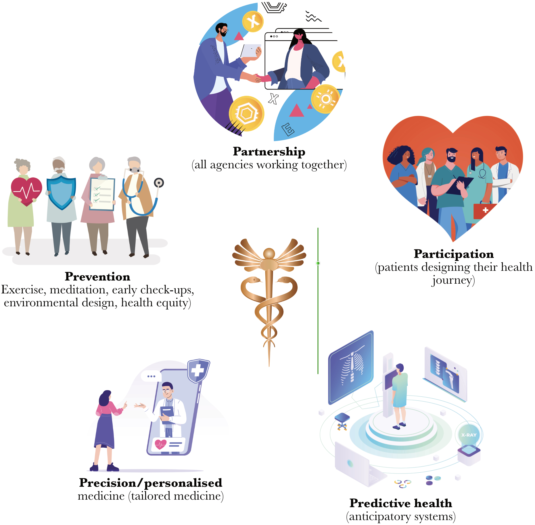 The Five P Health Model